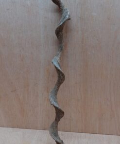 Curved Liana - Short - 17