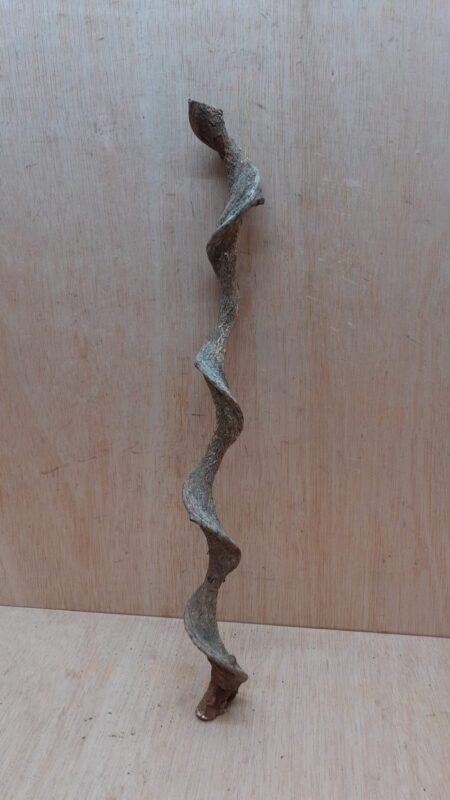 Curved Liana - Short - 17