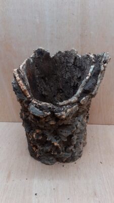 Large Cork Tube - Upto 40cm - 11