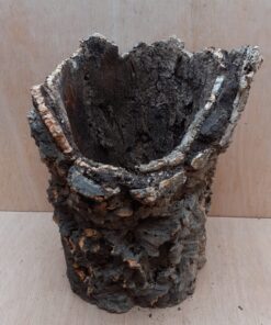 Large Cork Tube - Upto 40cm - 11