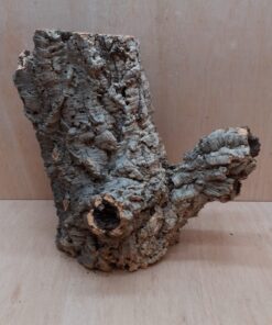 Large Cork Tube - Upto 40cm - 13