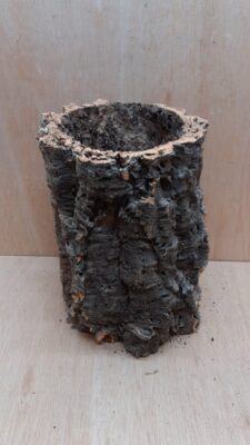 Large Cork Tube - Upto 40cm - 16