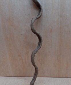 Monkey Ladder Liana - Short - 11