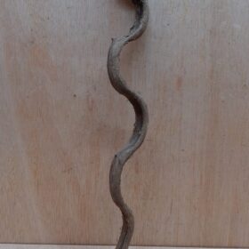 Monkey Ladder Liana - Short - 11