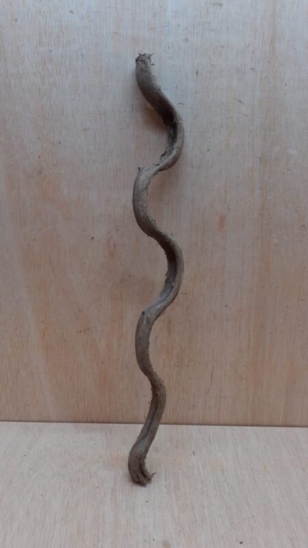 Monkey Ladder Liana - Short - 11