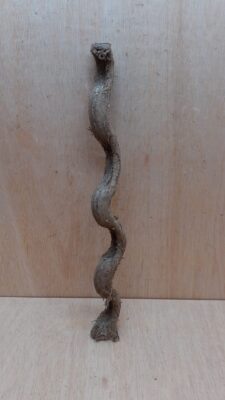 Monkey Ladder Liana - Short - 12