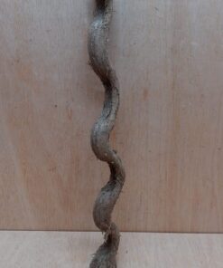 Monkey Ladder Liana - Short - 12