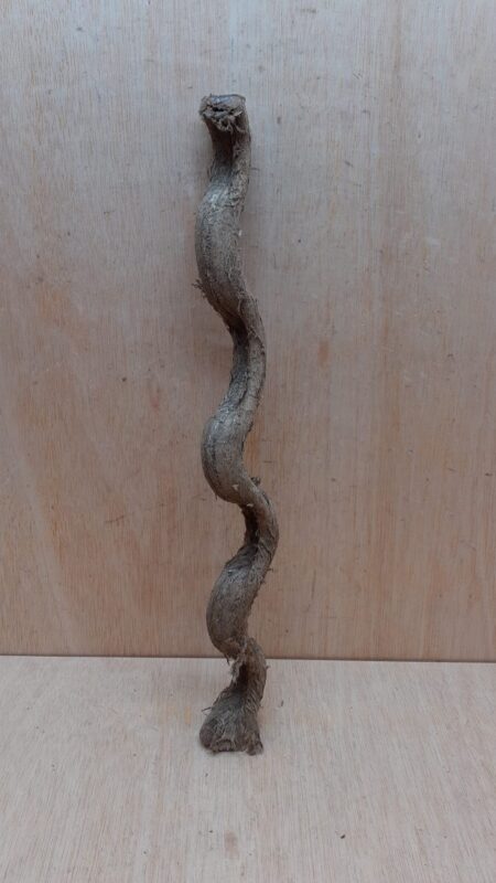 Monkey Ladder Liana - Short - 12