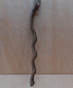 Monkey Ladder Liana - Short - 13