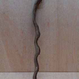 Monkey Ladder Liana - Short - 13