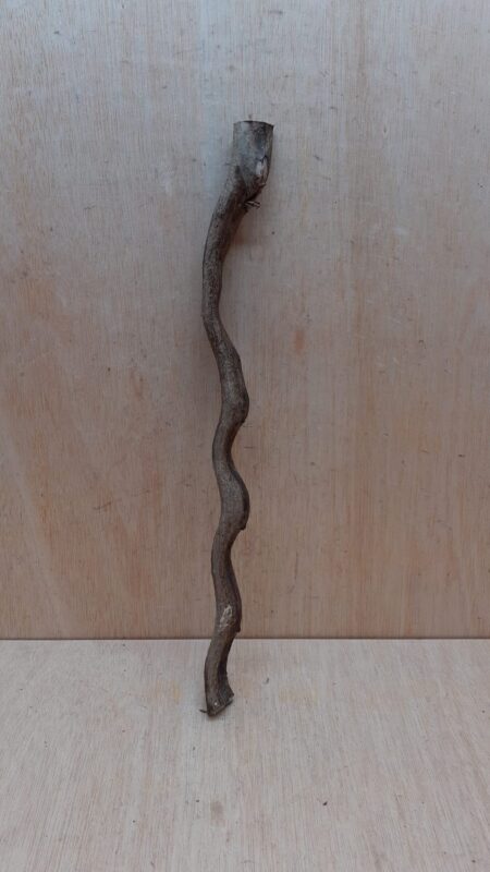 Monkey Ladder Liana - Short - 13