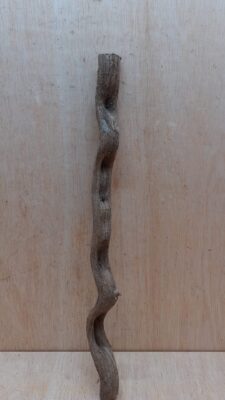 Monkey Ladder Liana - Short - 16