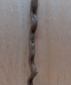 Monkey Ladder Liana - Short - 16