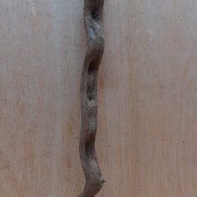 Monkey Ladder Liana - Short - 16