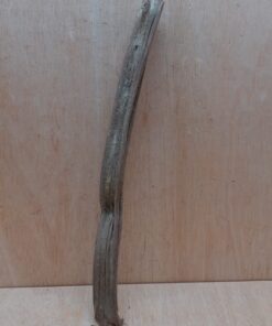 Monkey Ladder Liana - Short - 17