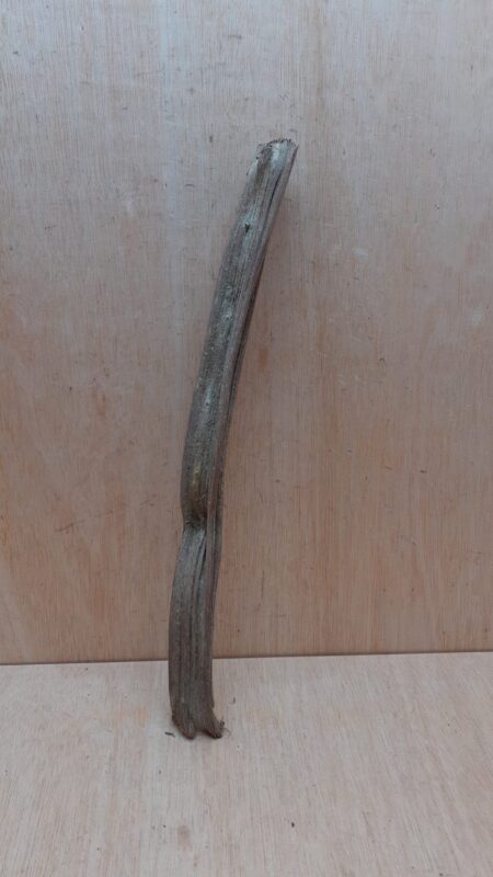 Monkey Ladder Liana - Short - 17