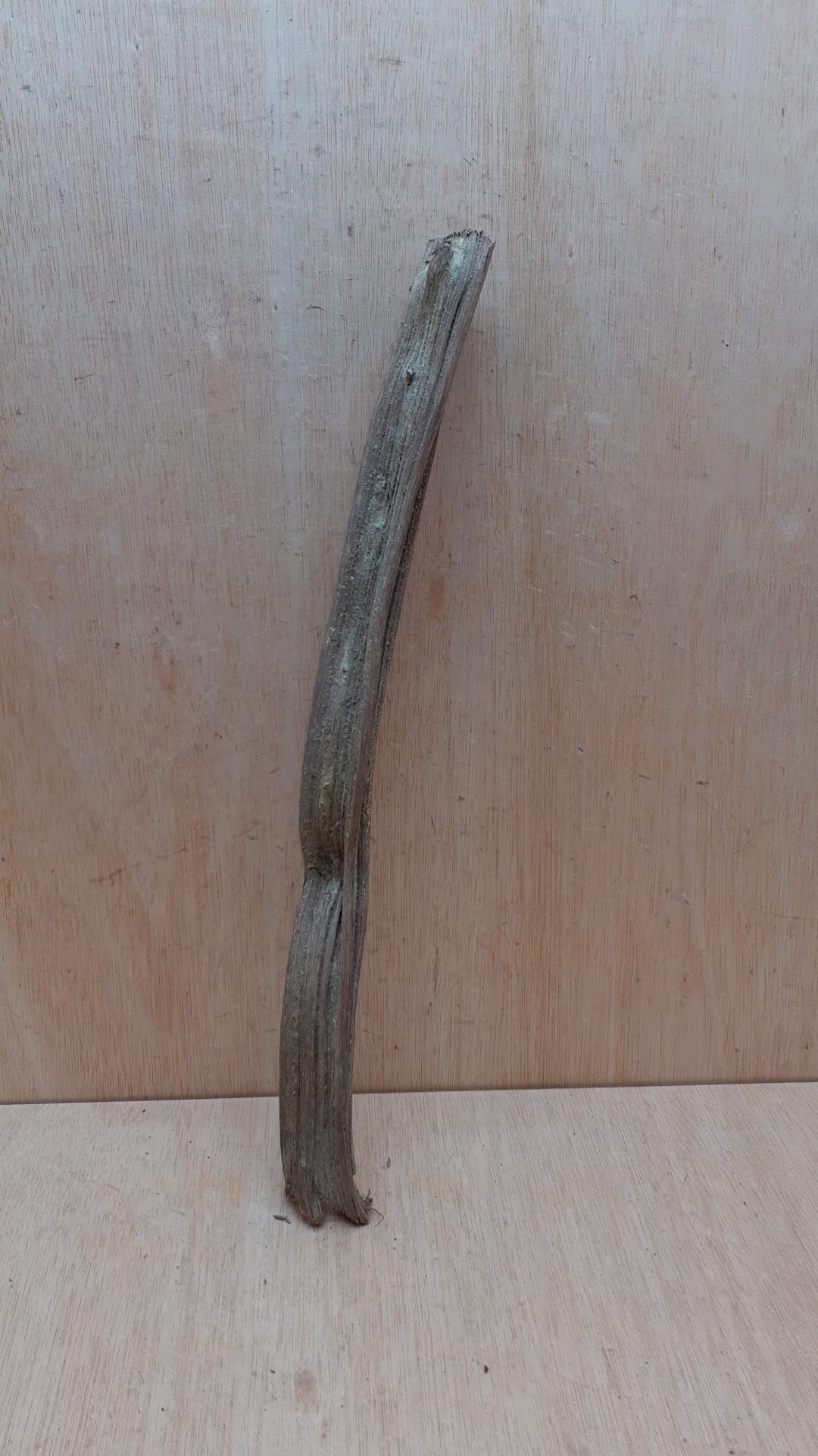 Monkey Ladder Liana - Short - 17