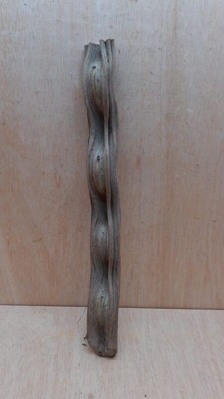 Monkey Ladder Liana - Short - 18