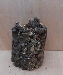 Large Cork Tube - Upto 40cm - 15