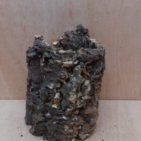 Large Cork Tube - Upto 40cm - 15