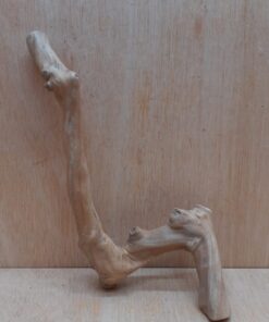 Java Wood - Single Stem - Small 19