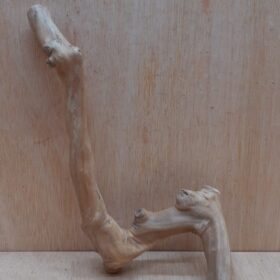 Java Wood - Single Stem - Small 19