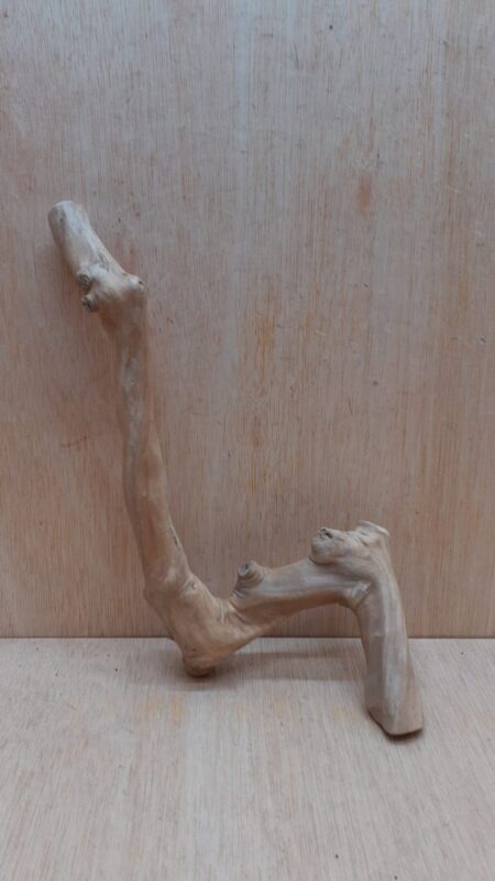 Java Wood - Single Stem - Small 19