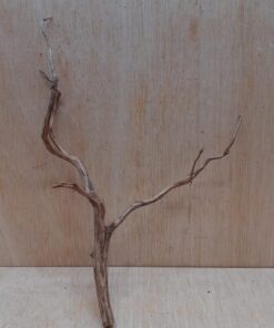 Moorwood - Medium 11