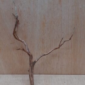 Moorwood - Medium 11