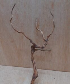 Moorwood - Medium 14