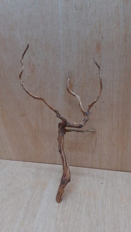 Moorwood - Medium 14