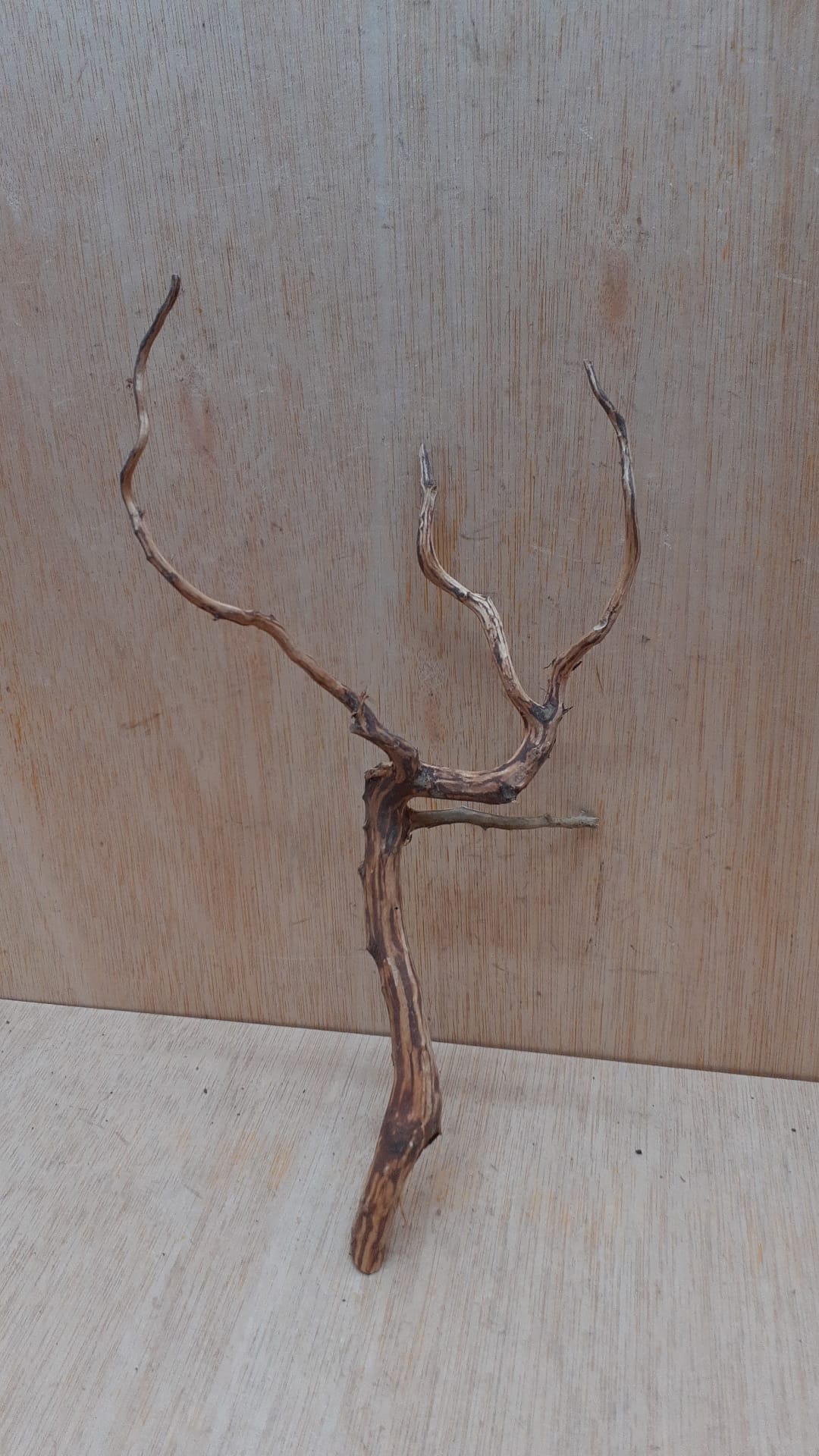 Moorwood - Medium 14