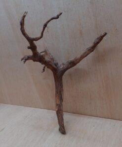 Moorwood - Medium 15