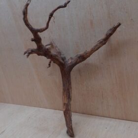 Moorwood - Medium 15