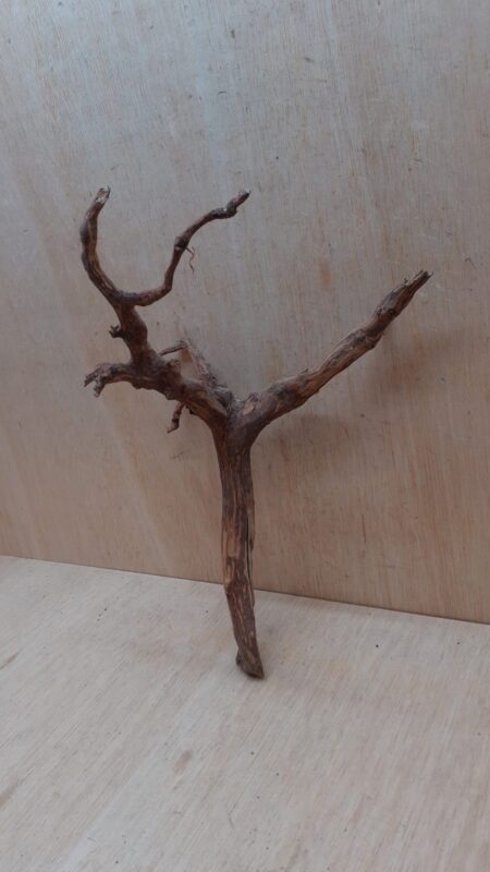 Moorwood - Medium 15