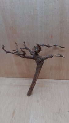 Moorwood - Medium 16