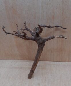 Moorwood - Medium 16