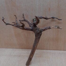 Moorwood - Medium 16