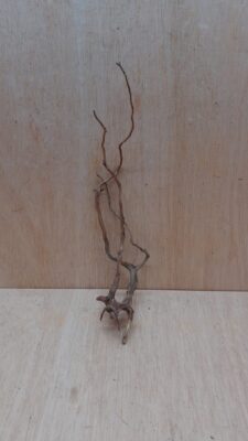 Moorwood - Medium 18
