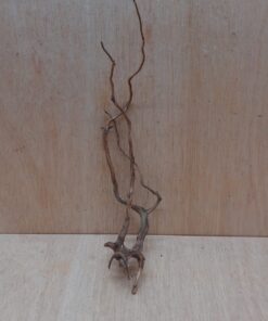 Moorwood - Medium 18