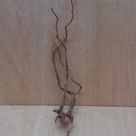 Moorwood - Medium 18