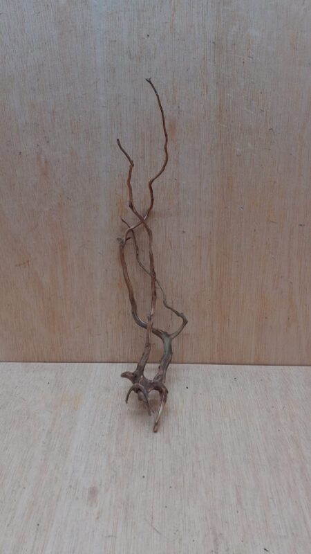 Moorwood - Medium 18
