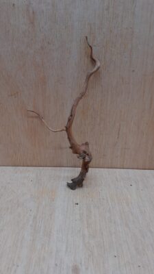 Moorwood - Small 11