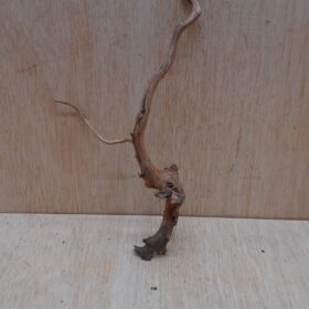 Moorwood - Small 11