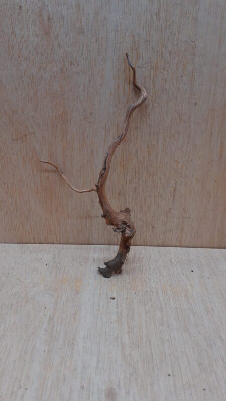 Moorwood - Small 11