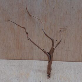 Moorwood - Small 12