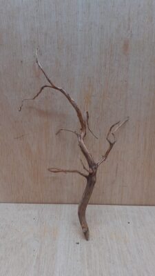 Moorwood - Small 13