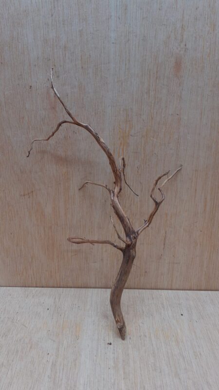 Moorwood - Small 13