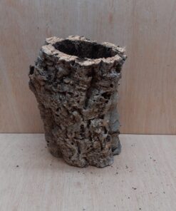 Medium Cork Tube - Upto 40cm - 23
