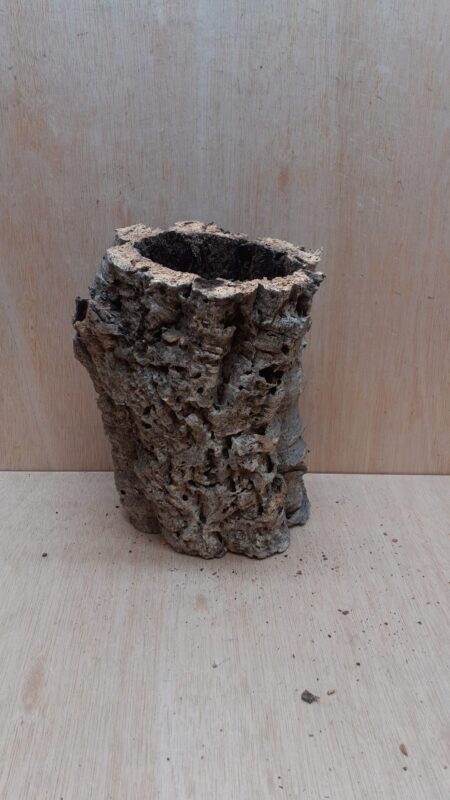 Medium Cork Tube - Upto 40cm - 23
